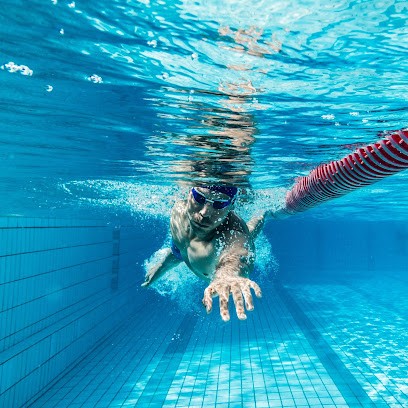 Club Nageurs Du Mans (Association), Club de Natation au Mans