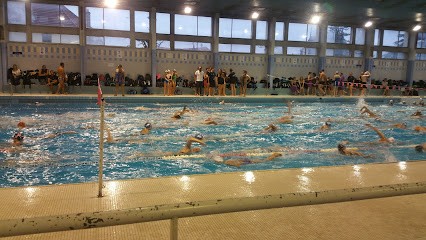 Alliance Dijon Natation, Club de Natation à Dijon