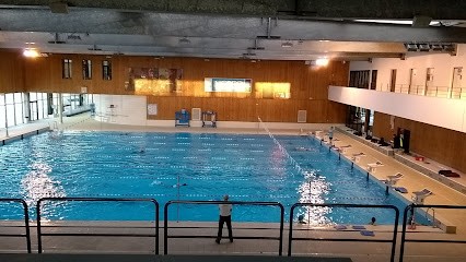 Montauban Natation, Club de Natation à Montauban