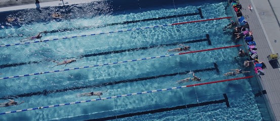 Wakefulness Mendois Natation, Club de Natation à Mende