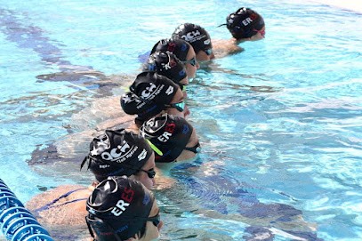 Aquatic Club Hyérois, Club de Natation à Hyères