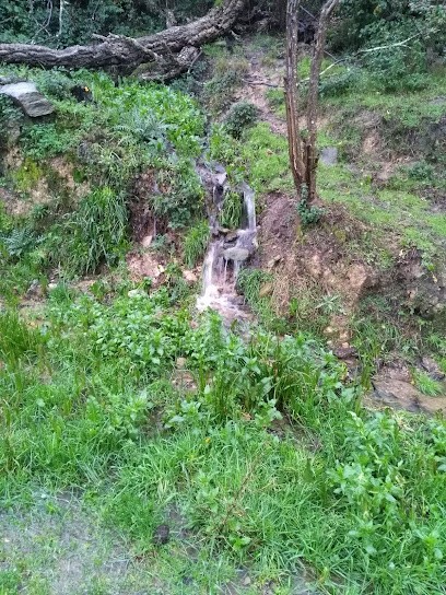 piscines services, Piscine à Prunelli-di-Fiumorbo