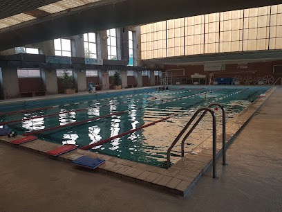 Piscine Municipale De Waziers, Piscine à Waziers