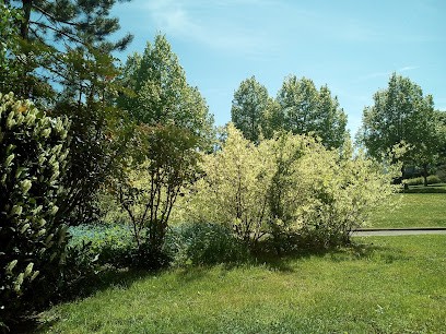 Cercle Des Nageurs D'Epinal, Club de Natation à Épinal