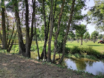 Piscine, Piscine à Sainte-Hermine
