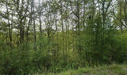 Flobleu, Piscine à Saint-Martin-des-Combes