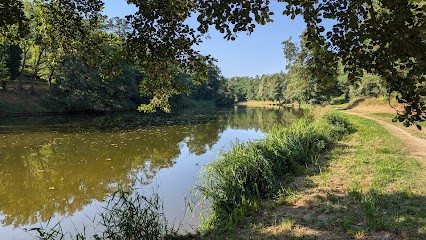 Piscine, Piscine à Moulins-Engilbert