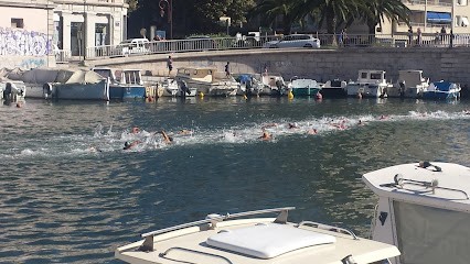 Les Dauphins de Sète, Club de Natation à Sète