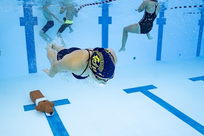 DAUPHINS DE CHATELLERAULT, Club de Natation à Châtellerault