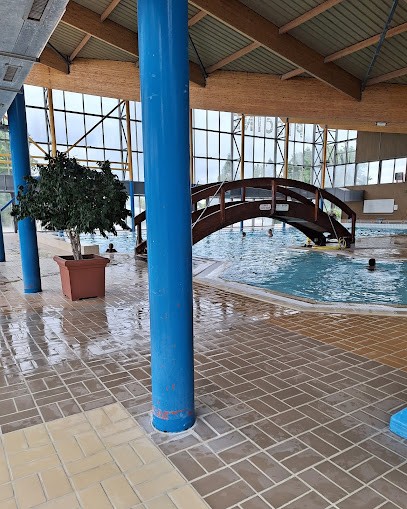 Piscine Municipale Charles Moreira, Piscine à Vierzon