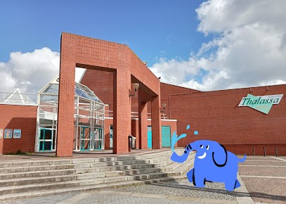 Centre Nautique Thalassa, Piscine à Roubaix