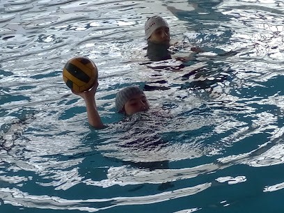 Pierre De Coubertin Pool, Piscine à Villerupt