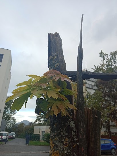 Piscine jean-Régis, Piscine à Annecy