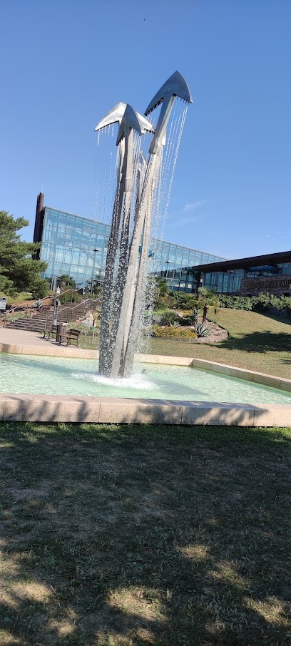 The City Of Water, Piscine à Publier