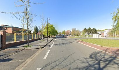 Douai Natation 1897, Club de Natation à Douai