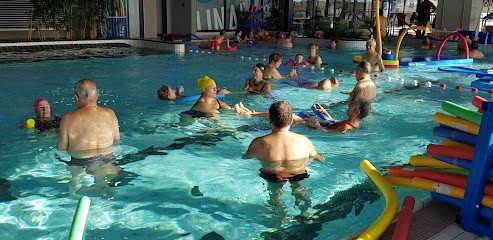 Les Dauphins Tournon-Tain, Club de Natation à Tournon-sur-Rhône