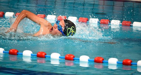 Pays De Gex Natation, Club de Natation à Ferney-Voltaire