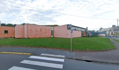 Marsouins Saint Saulviens, Club de Natation à Saint-Saulve