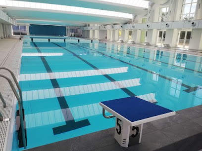 Piscine intercommunale d'Avallon, Piscine à Avallon