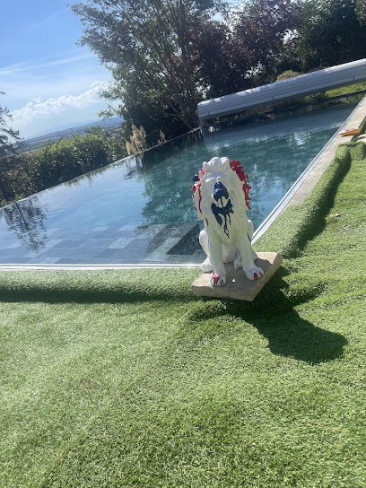 123 Plongez, Piscine à Vienne