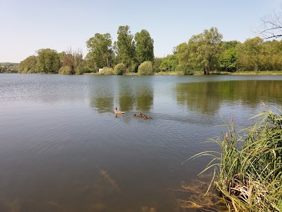 Aquatic Center Sarrebourg, Piscine à Sarrebourg