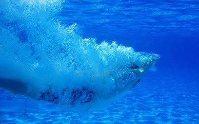 PISCINE BLUE SERVICE, Piscine à Saint-Cyprien