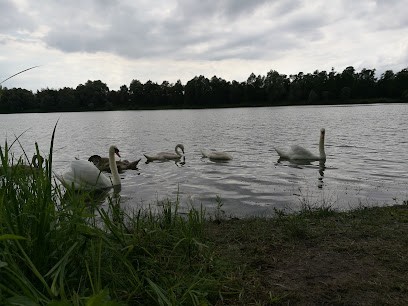 Lucien Lahaye Pool, Piscine à Beautor