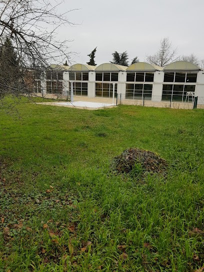 Municipal Pool, Piscine à Thiais