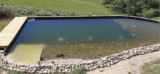 Piscine Organique Piscine à Bardos