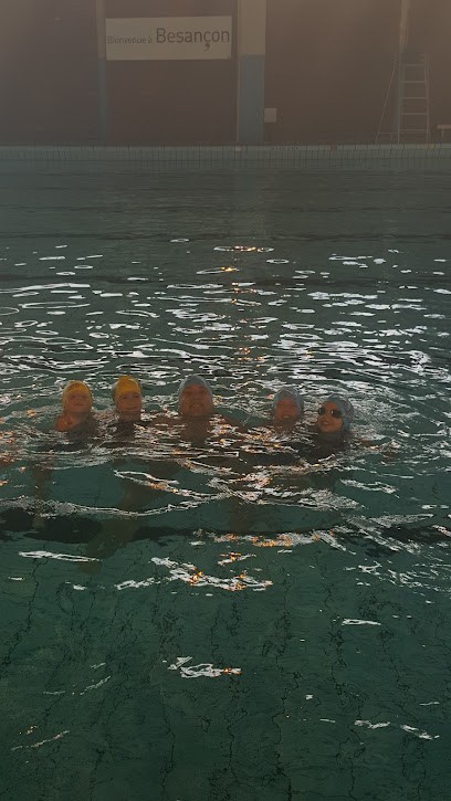 Swimming Alliance Besançon, Club de Natation à Besançon