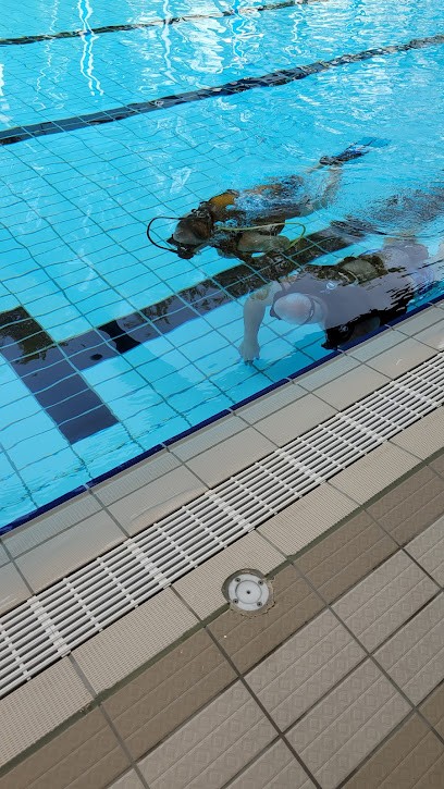 Pool LUC BERTON, Piscine à Migennes