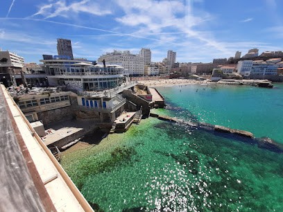 Cercle Des Nageurs De Marseille, Club de Natation à Marseille 07