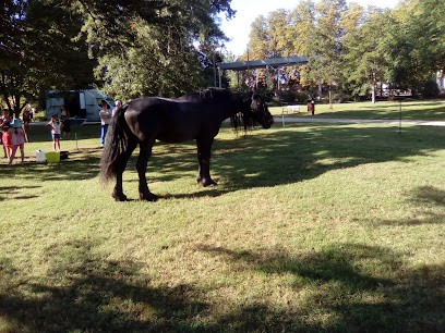 Piscine, Piscine à Saint-Aigulin
