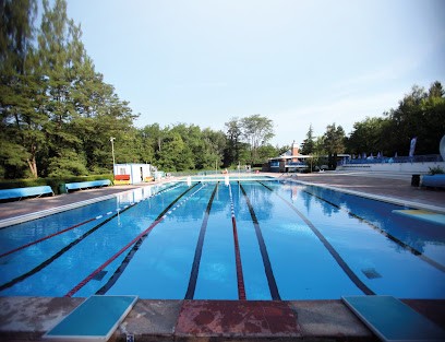 Piscine Municipale, Piscine à Rumilly