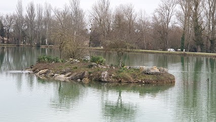 Piscine Municipale, Piscine à Lisle-sur-Tarn