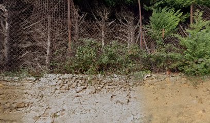 Piscine à Pont Saint Esprit, Piscine à Pont-Saint-Esprit