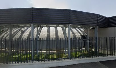 Marsouins Du Comminges, Club de Natation à Saint-Gaudens