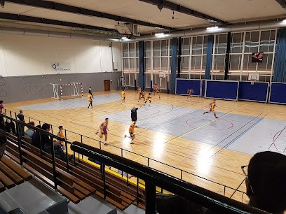 Piscine De Vélizy-Villacoublay, Piscine à Vélizy-Villacoublay