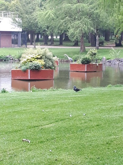 Piscine Municipale Philippe Croizon, Piscine à Halluin