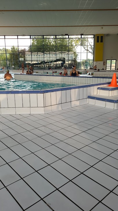 Piscine du Palais des Sports, Piscine à Nanterre