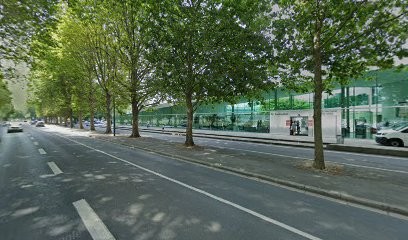 Entente Nautique Caennaise, Club de Natation à Caen